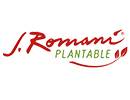 https://artisticadix.com.ar/romani